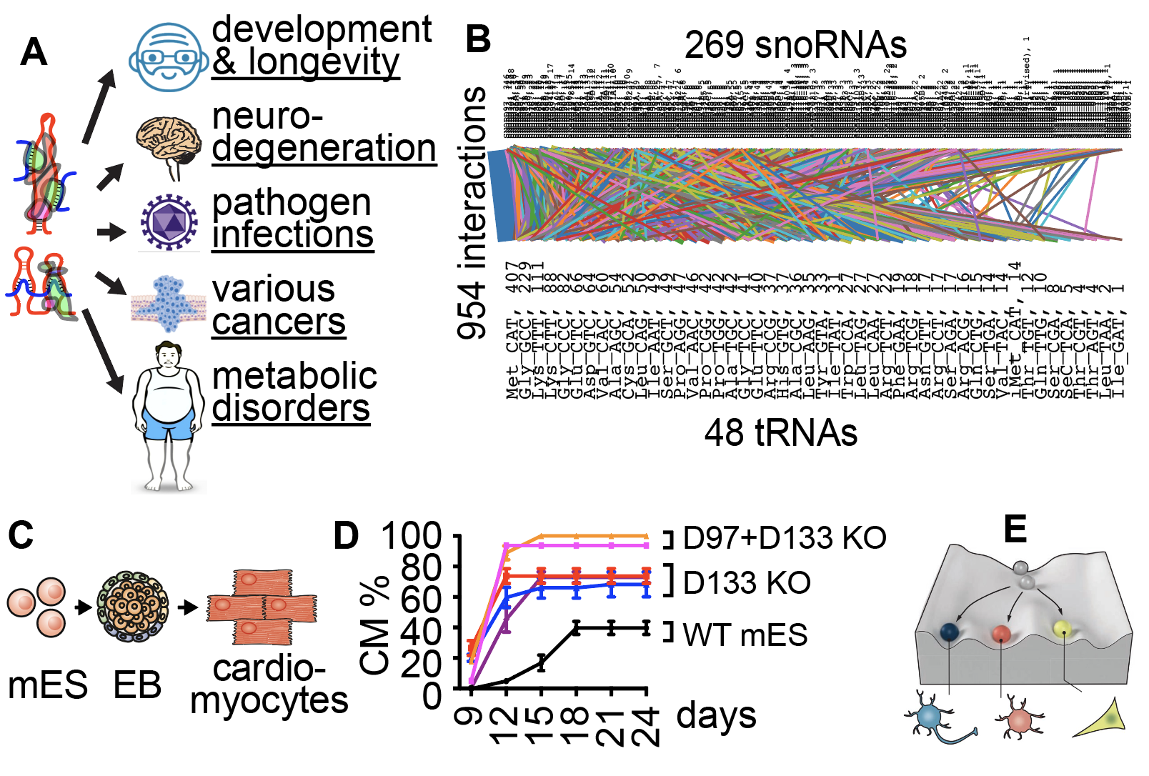 Research | Zhipeng Lu Lab @ USC